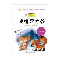 宝葫芦丛书：走近死亡谷
