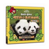 美国国家地理 愤怒的小鸟：环游世界(动物篇)