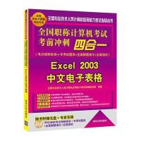 全国职称计算机考试考前冲刺四合一——Excel 2003中文电子表格