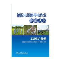 输配电线路带电作业图解丛书 110kV分册
