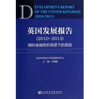 英国发展报告