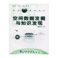 空间数据发掘与知识发现