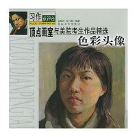 顶点画室与美院考生作品精选－色彩头像