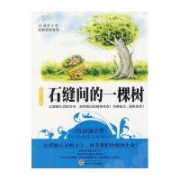 石缝间的一棵树 (校园蒲公英经典阅读系列)