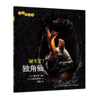 生命的故事系列：诞生了！独角仙