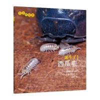 生命的故事系列：诞生了！西瓜虫