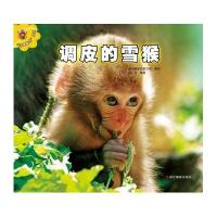 调皮的雪猴 动物星座