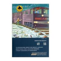 韩青辰纪实励志精品系列:碎锦