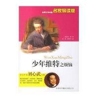 少年维特之烦恼——世界文学名著名家导读版