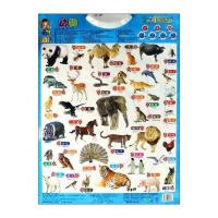 巧玩有声水晶挂图 动物