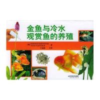 金鱼与冷水观赏鱼的养殖