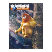 金丝猴部落探秘神农架