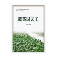 蔬菜园艺工