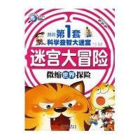 我的第1套科学益智大迷宫-迷宫大冒险微缩世界探险