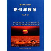 锦州湾镜像(摄影作品解析)