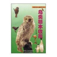 保值收藏--鸟类标本收藏