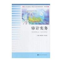 南大社高职高专职业实践型规划教材 财经类/审计实务