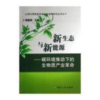 山西汾渭能源咨询公司战略研究丛书 新生态与新能源：碳环境推动下的生物质产业革命