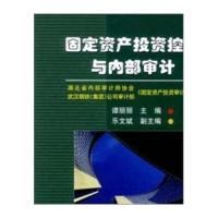 固定资产投资控制与内部审计