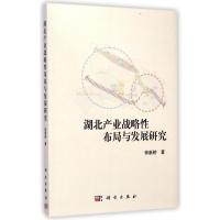 湖北产业战略性布局与发展研究