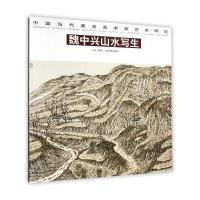 中国当代著名美术家艺术研究：魏中兴山水写生