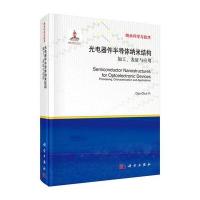 光电器件半导体纳米结构：加工表征与应用