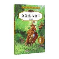 动物小说大王沈石溪精品集：金丝猴与盘羊(拼音版)