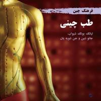 中国文化系列丛书：中国文化 医药(波斯)