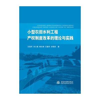 小型农田水利工程产权制度改革的理论与实践