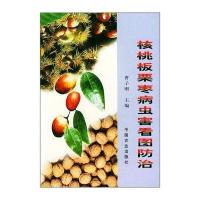 核桃板栗枣病虫害看图防治