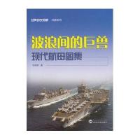 波浪间的巨兽——现代航母图集