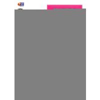 小学生作文起步与提高 2年级 (语文新课堂 芒果作文)