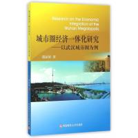 城市圈经济一体化研究