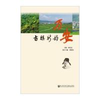 古镇新韵：万安