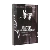 丘吉尔次世界大战回忆录3(世界危机1916-1918)