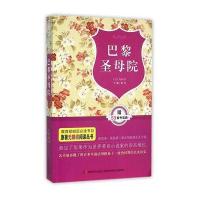 原著无障碍阅读丛书：巴黎圣母院