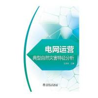 电网运营典型自然灾害特征分析