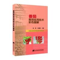 番茄栽培实用技术彩色图解