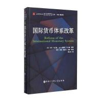 中国大百科全书出版社 北京师范大学新兴市场研究院/发展研究院文集 货币体系改革