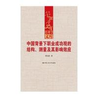 中国背景下职业成功观的结构、测量及其影响效应(管理学文库)