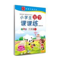 六年级下-人教版-小学生写字课课练-附不干胶 彩色作品纸