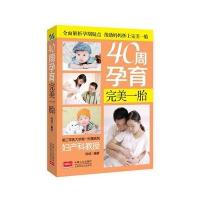 40周孕育完美一胎