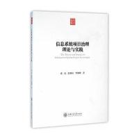 信息系统项目治理理论与实践