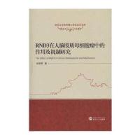 RND3在人脑胶质母细胞瘤中的作用及机制研究