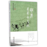 回族当代文学典藏丛书 那片青青的草地
