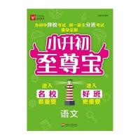 小升初至尊宝 语文