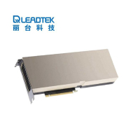 丽台(LEADTEK)NVIDIA A100 40G HBM2/1555GBps 视觉计算GPU/大型数据处理//深度学习/高性能计算HPC