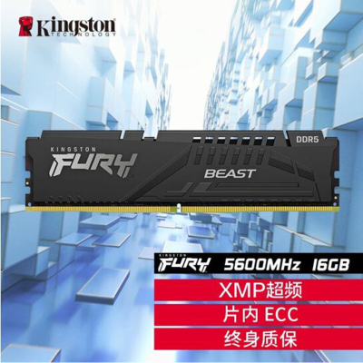金士顿 (Kingston) FURY 16GB DDR5 5600 台式机内存条 Beast野兽系列 骇客神条