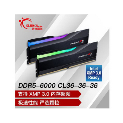 芝奇(G.SKILL)32GB(16Gx2)套装 DDR5 6000频率 台式机内存条-幻锋戟RGB灯条(黯雾黑)/C36