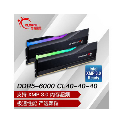 芝奇(G.SKILL)32GB(16Gx2)套装 DDR5 6000频率 台式机内存条-幻锋戟RGB灯条(黯雾黑)C40